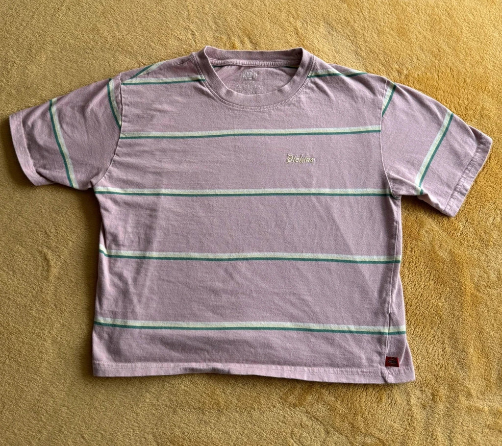 Dickies Girl Striped Crop Top – Pink/ Green Stripe (S)