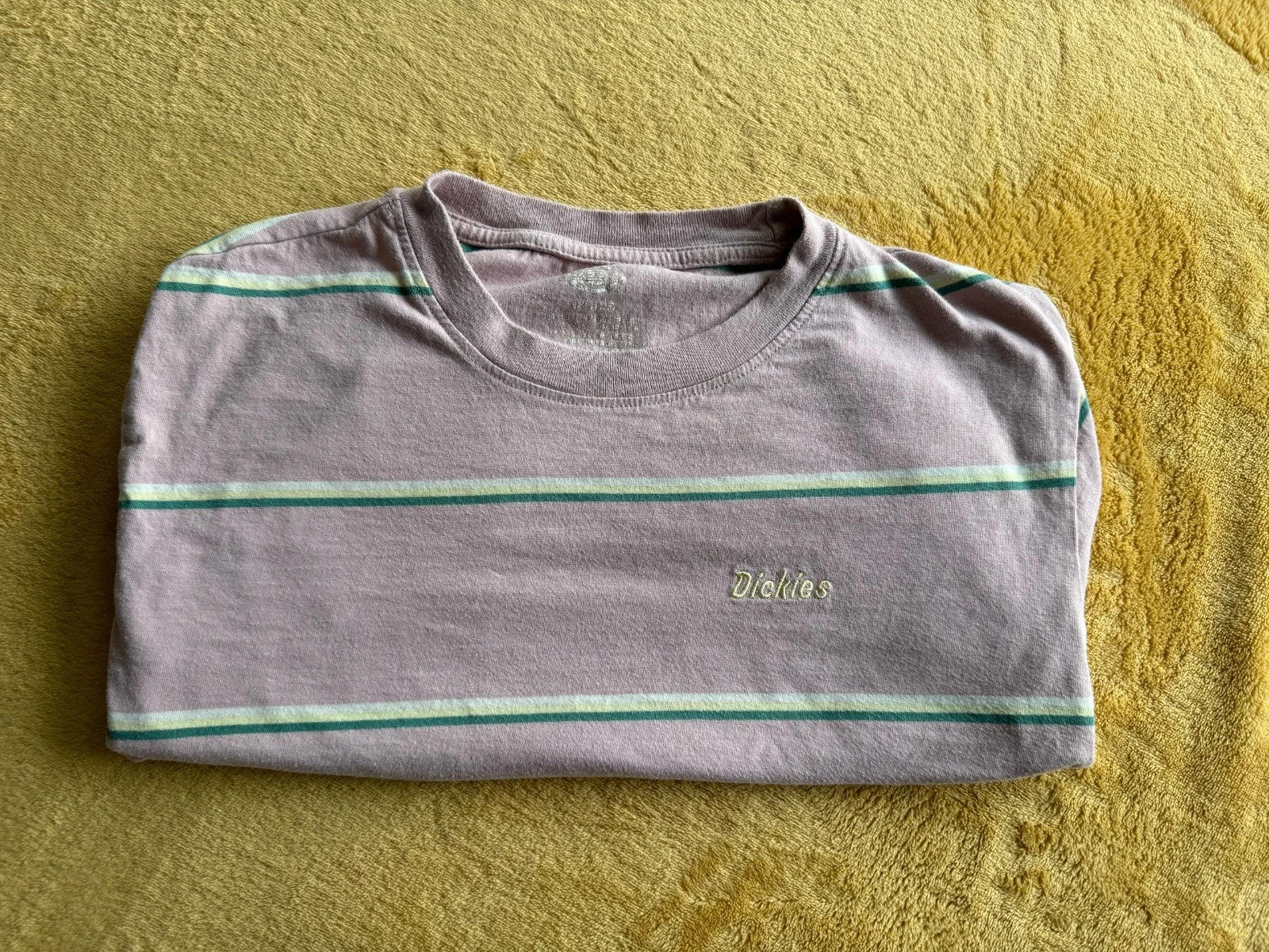 Dickies Girl Striped Crop Top – Pink/ Green Stripe (S)
